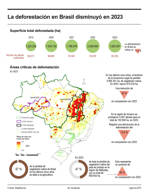 La deforestación en Brasil disminuyó en 2023