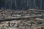 Las claves del trágico escenario causado por los incendios forestales en Perú