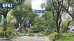 Taiwan seeks normality after Typhoon Krathon kills 2, injures 600