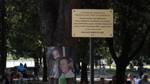 Rome pays tribute to Judge Falcone thirty years after his assassination