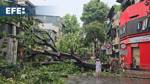 Toll rises to 14 dead, 219 injured due to typhoon Yagi in Vietnam