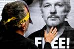 Assange’s release 'a victory' for press freedom: RSF