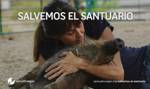 La Fundación Santuario Vegan lanza la campaña "Salvemos el Santuario" para poder mudarse al nuevo terreno