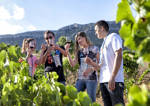 De bodega en bodega, de cata en cata, ¡por las rutas del vino!