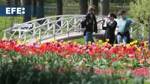 Lituania celebra un Festival de Tulipanes inspirado en  Países Bajos