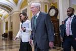 El Senado rechaza celebrar el juicio político contra el jefe de migración de Biden